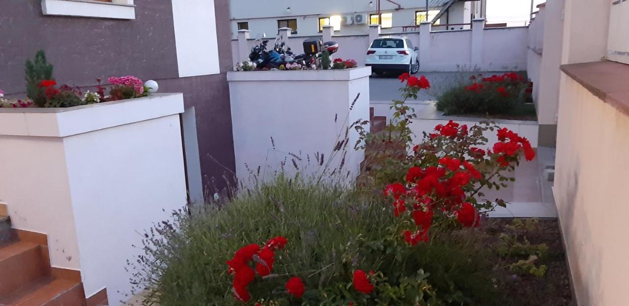 Vila Family Cricova Εξωτερικό φωτογραφία